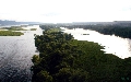 Река Волга возле Мастрюковских озер, в районе места проведения Грушинского фестиваля 1 июля 2000 года.