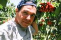 Игорь Сапиро в черешневом саду
Фото прислано Игорем Сапиро